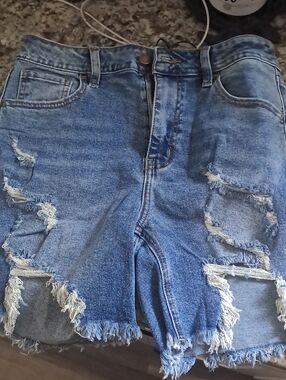 Fashion NOVA bermuda Shorts